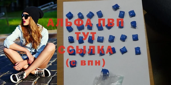 гидра Абаза