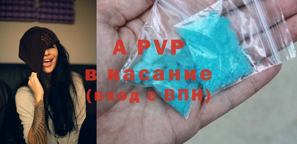 гидра Абаза