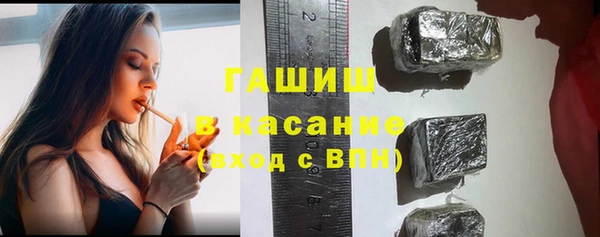 гидра Абаза