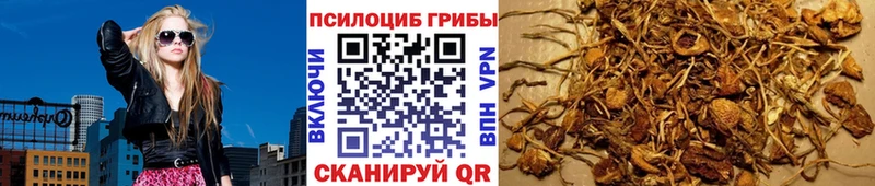 Псилоцибиновые грибы ЛСД  Порхов 